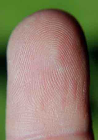 fingerprint