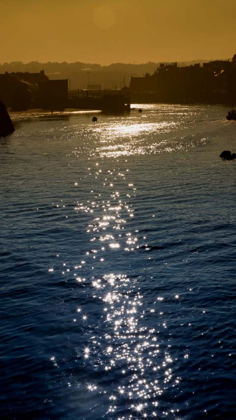 Free Phone Backgrounds Wallpapers-480x854 px FWVGA
