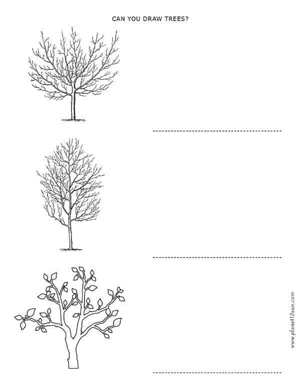 trees practice drawing art free printable worksheet