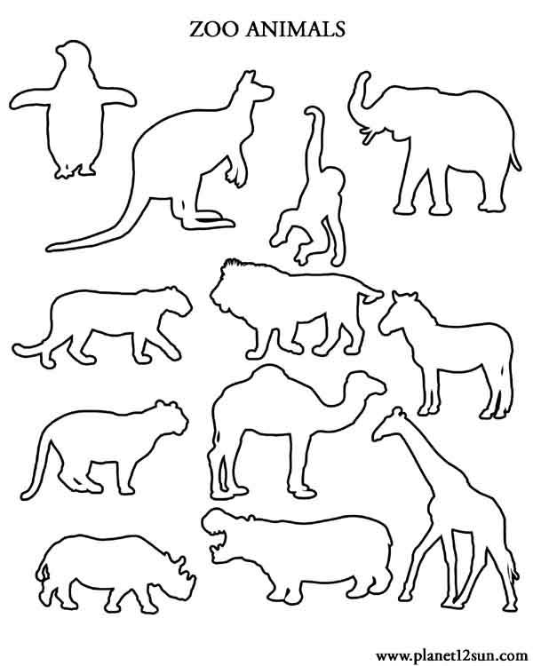 zoo animals outlines coloring page preschool kindergarten