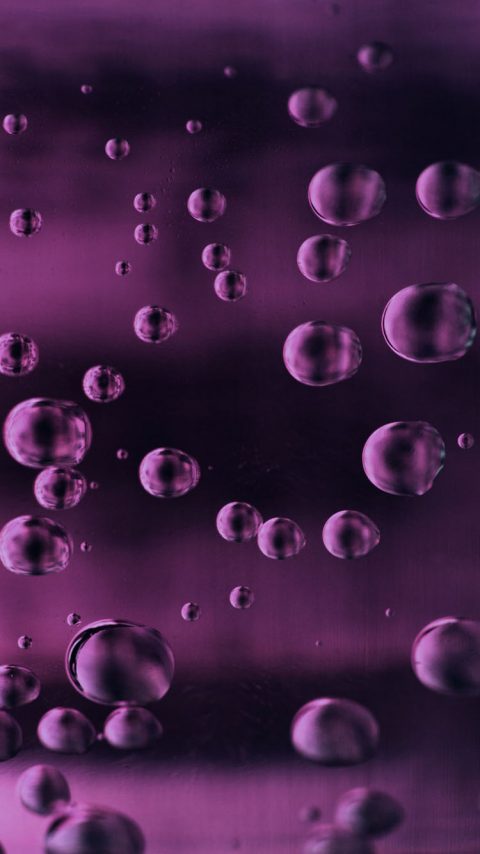 Purple Bubbles wallpaper